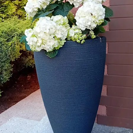 Aleksandra בית נופש Zarnowska