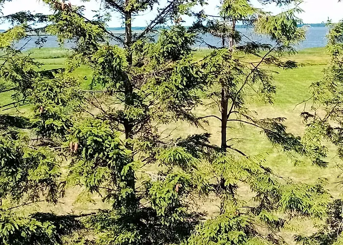 Aleksandra Zarnowska