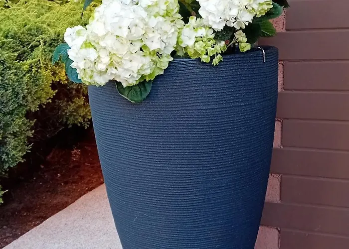 Aleksandra Prázdninový dům Zarnowska