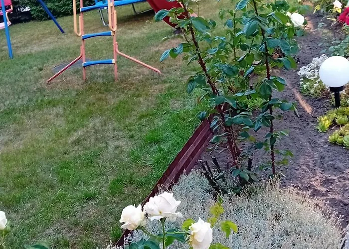 Aleksandra * Zarnowska